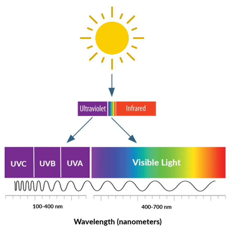 The electromagnetic radiation emitted from the sun including ultraviolet, visible, and infrared.
