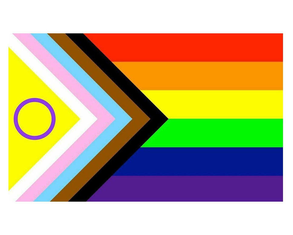 In this version of the Pride flag, the rainbow section represents the LGBTQ+ community as a whole,  the black and brown stripes represent the BIPOC members of the LGBTQ+ community, the white, pink, and light blue stripes represent members of the transgender community, and the yellow triangle with the purple circle represents the intersex community.