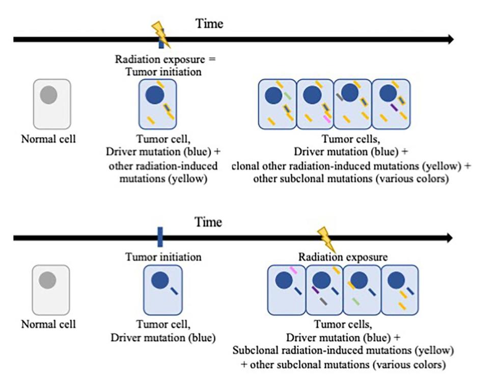 Distinctive molecular features of radiation-induced thyroid cancers