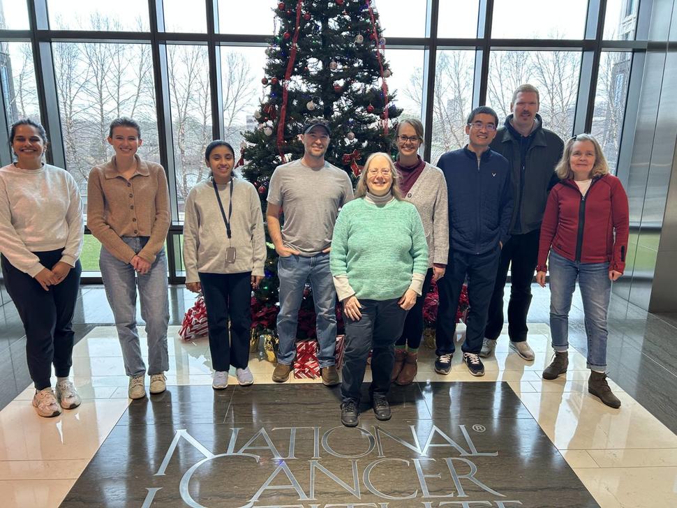 Members of the Amundadottir laboratory