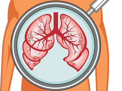 sketch of lungs