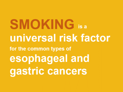 Smoking is a universal risk factor for the common types of esophageal and gastric cancer