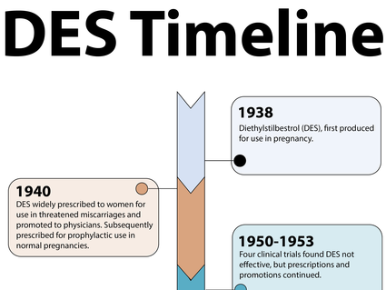 Graphic of a timeline titled “DES Timeline”