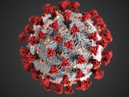 Image of sars-cov-2 virus