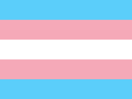 Transgender Pride Flag: Light blue stripes on the top and bottom, followed by light pink stripes, and a white stripe in the middle.