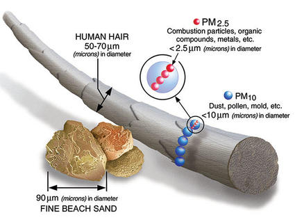 scale model showing size of particulate matter 2.5 mm