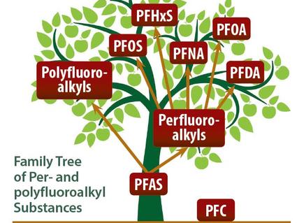 cartoon graphic showing Per- and polyfluoroalkyl Substances