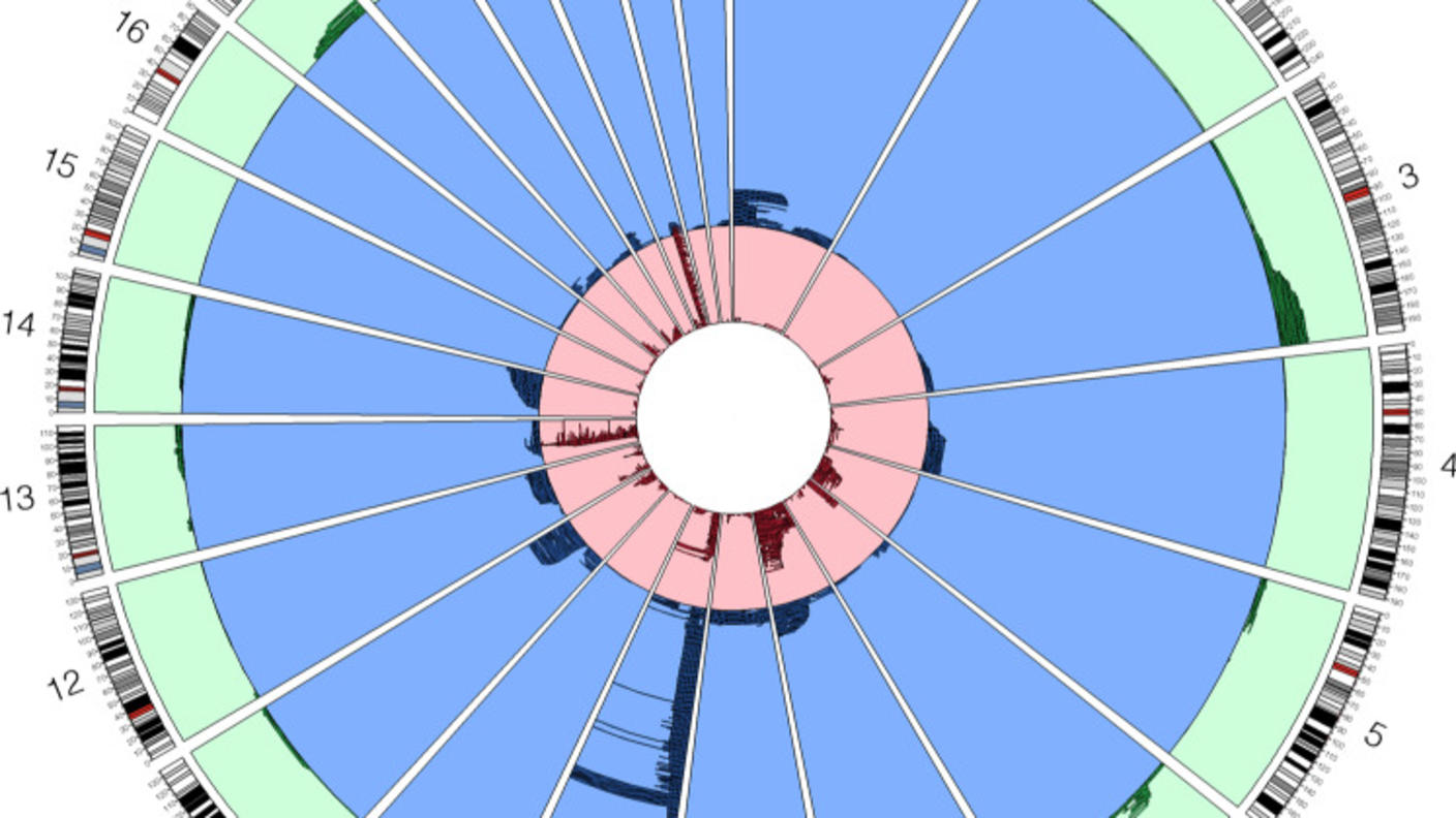 circos plot showing mosaic chromosomal alterations