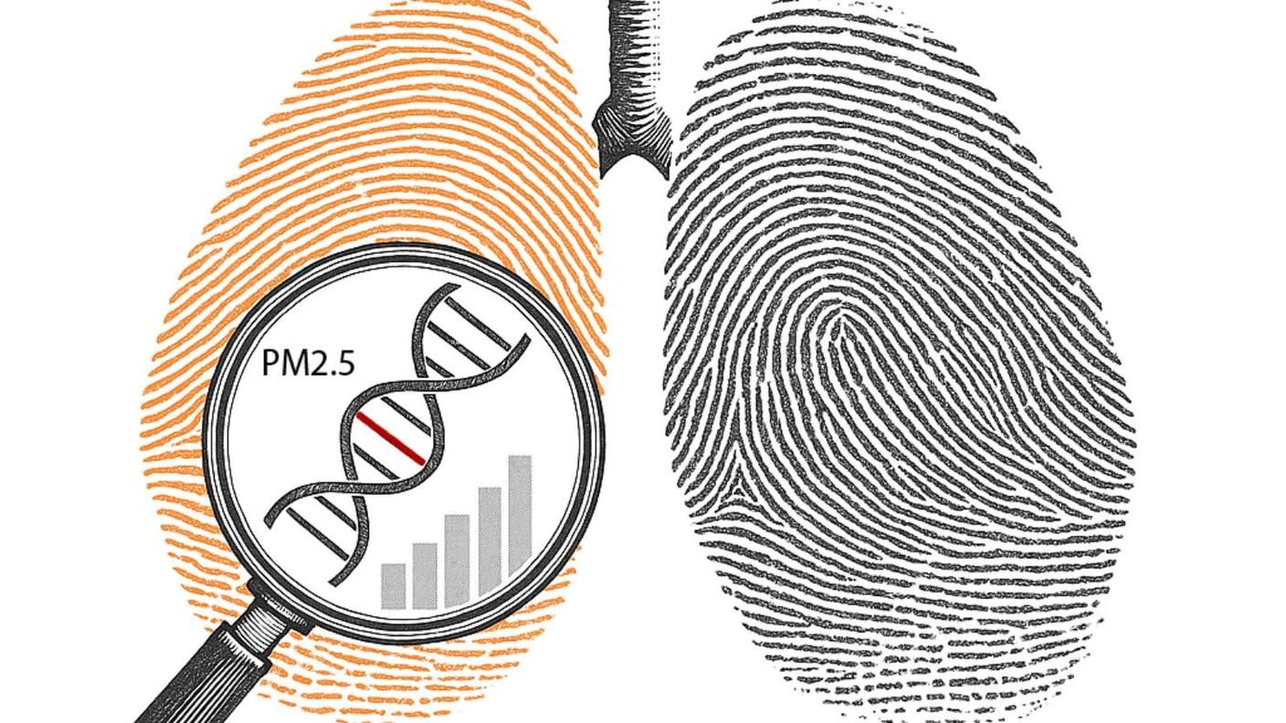 graphic depicting lungs with a magnifying glass that reveals PM 2.5, DNA, and a bar chart