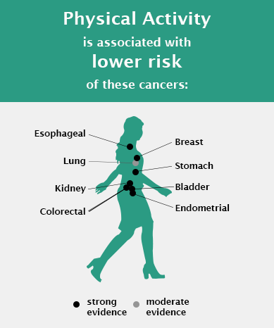 Inforgraphic depicting physical activity is associated with lower risk of these cancers: Esophageal, Breast, Lung, Stomach, Kidney, Bladder, Colorectal, Endometrial. Sedentary Behavior is associated with higher risk of these cancers: Lung, Colorectal, Endometrial. Citation: Patel et al. Medicine and Science in Sports and Exercise, 2019.
