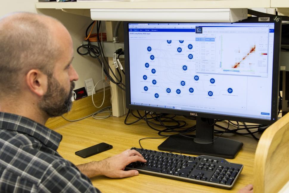 A bioinformatician analyzes DNA integration data on a computer.