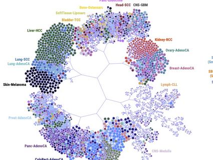 The figure visualizes the mutational processes of tumors from the PCAWG study using mSigPortal